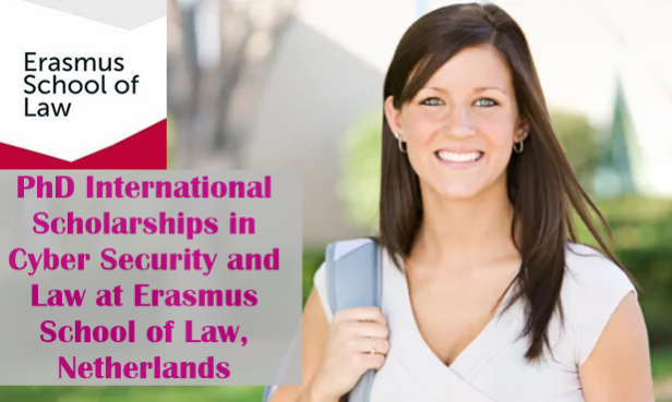 phd law distance learning netherlands
